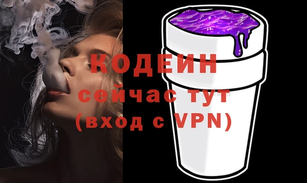 2c-b Новозыбков