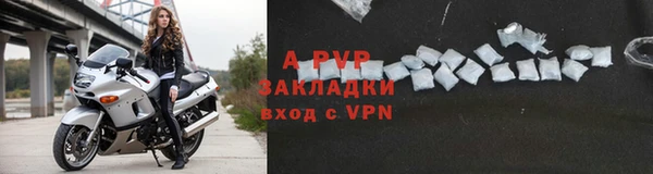 2c-b Новозыбков